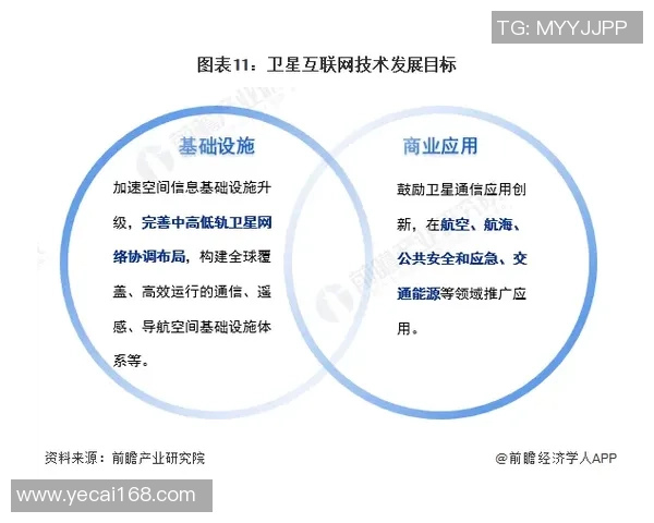 星空娱乐未来市场规划展望与战略布局分析