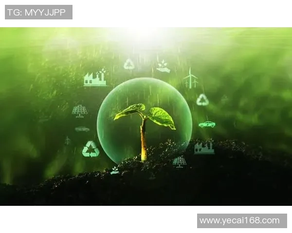 新宝GG创新风险管理助力企业稳健发展与可持续增长策略探讨 新宝GG创新风险管理助力企业稳健发展与可持续增长策略探讨