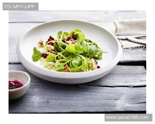 世界马齿苋沙拉大赛盛大开幕雅典见证全球美食创意之争